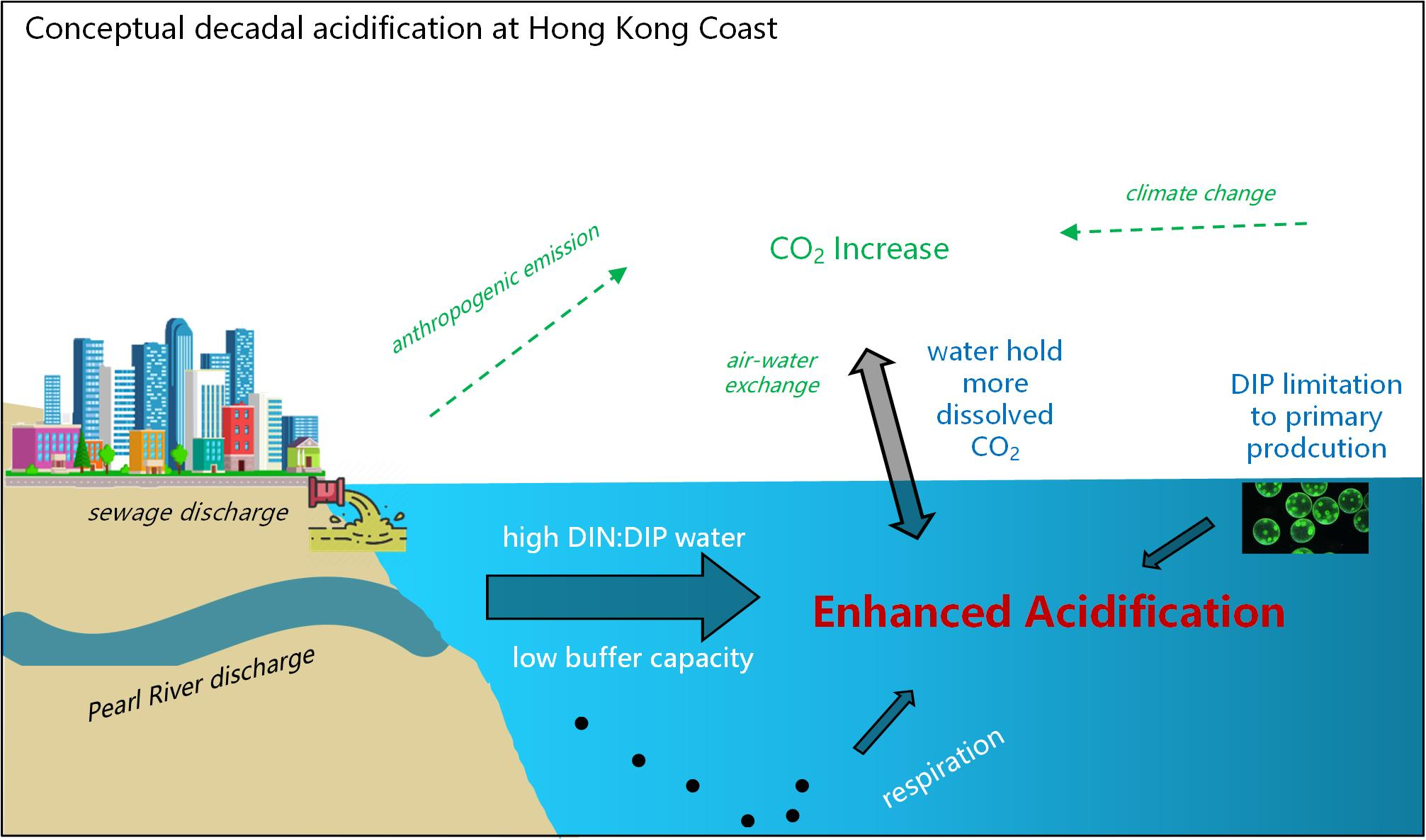 beat365在线体育app