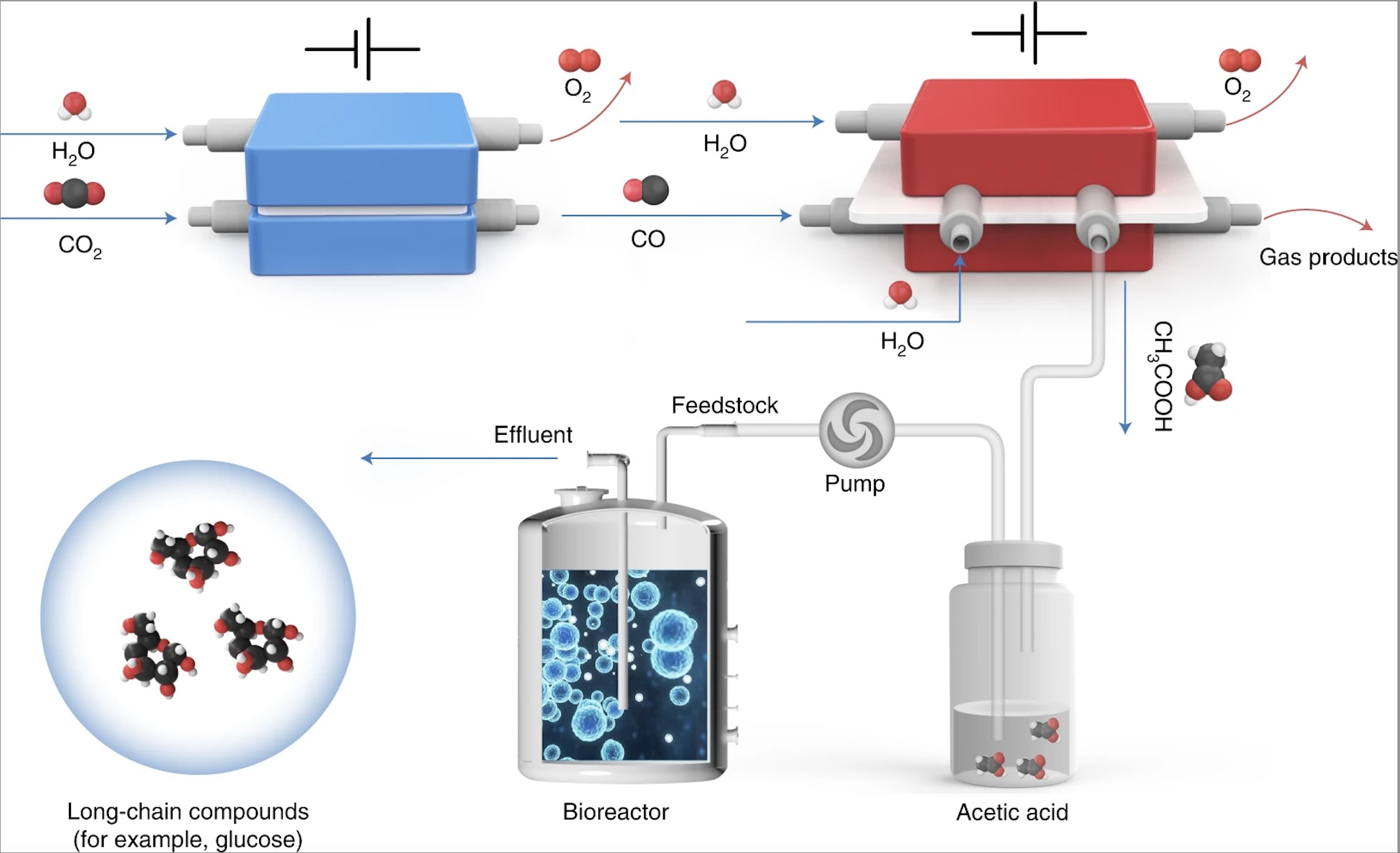 beat365在线体育app
