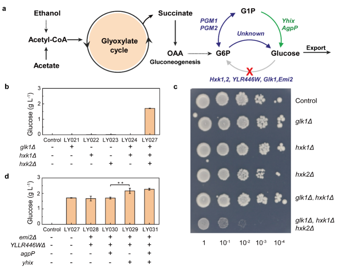 beat365在线体育app
