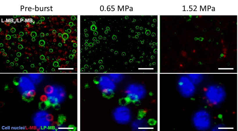 beat365在线体育app
