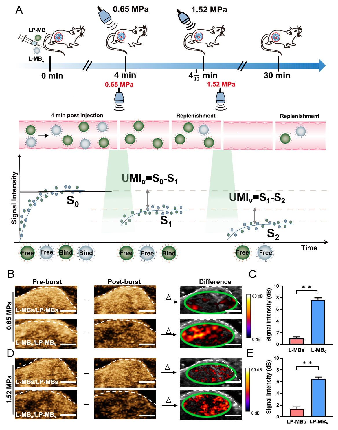 beat365在线体育app