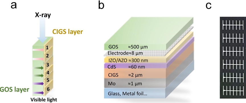 beat365在线体育app