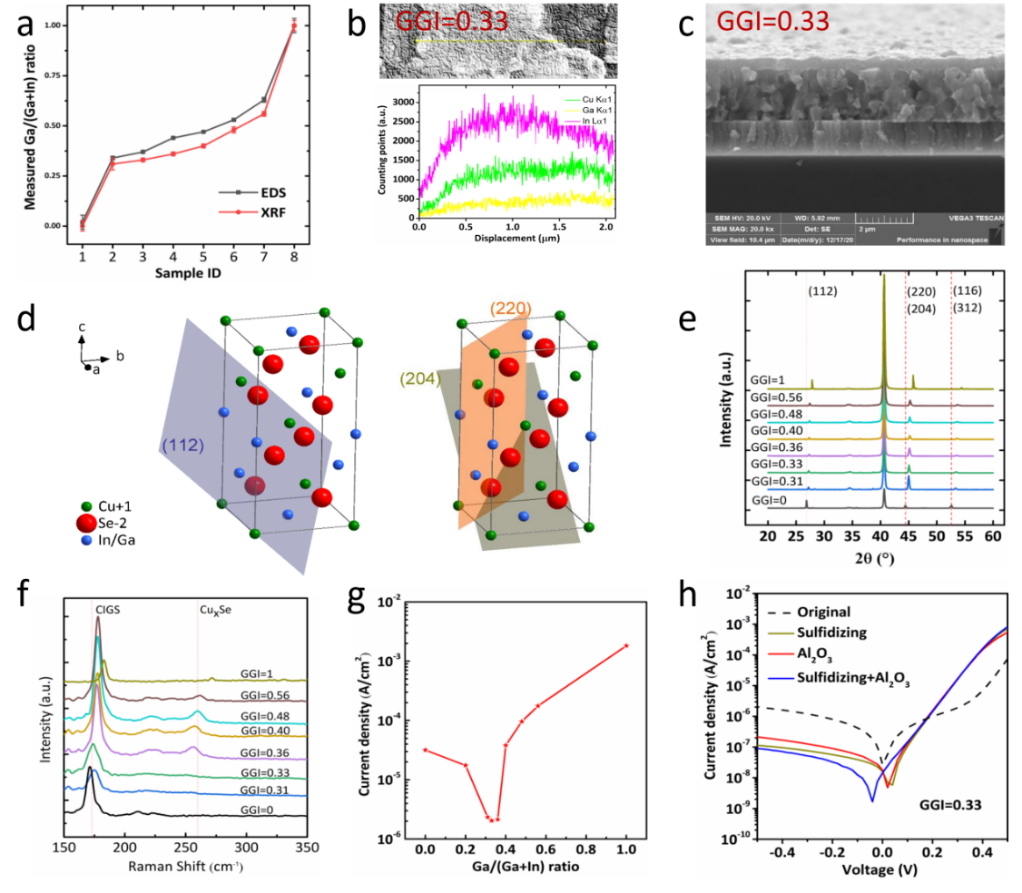 beat365在线体育app