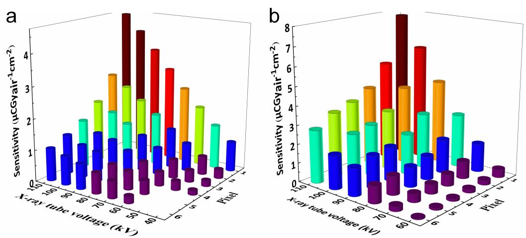 beat365在线体育app