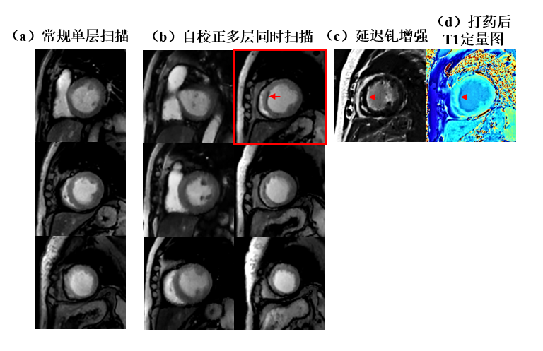 beat365在线体育app