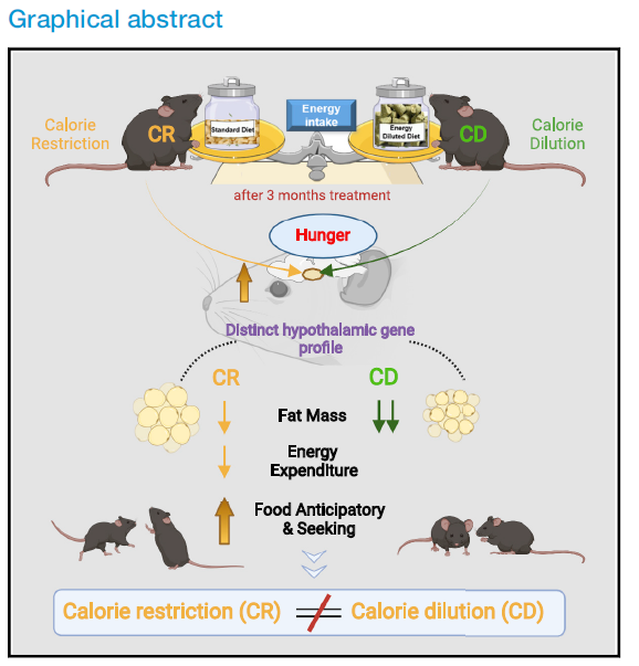 beat365在线体育app