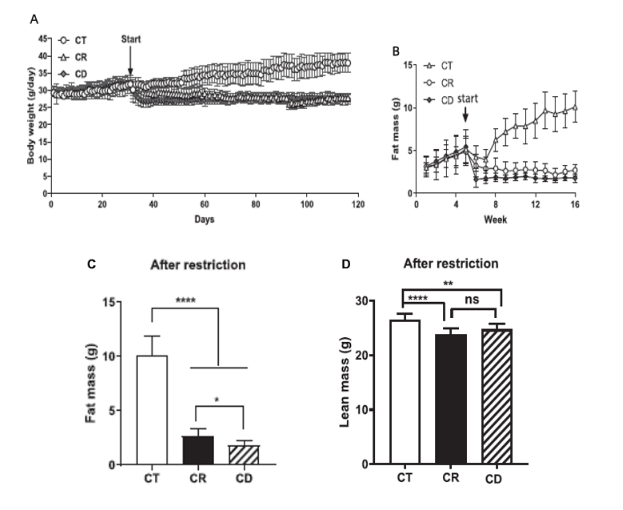 beat365在线体育app