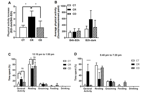 beat365在线体育app
