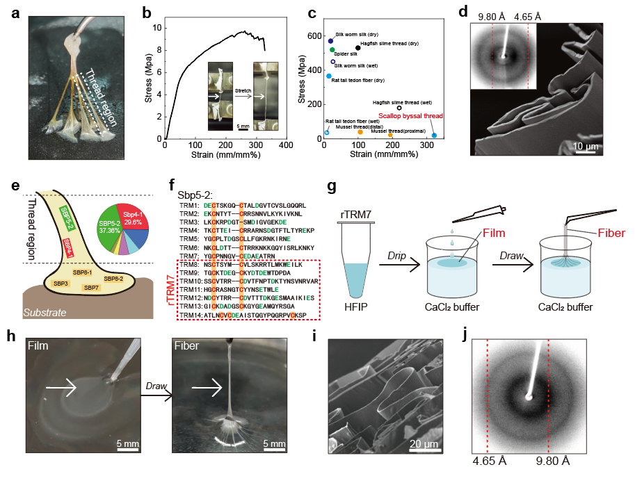 beat365在线体育app