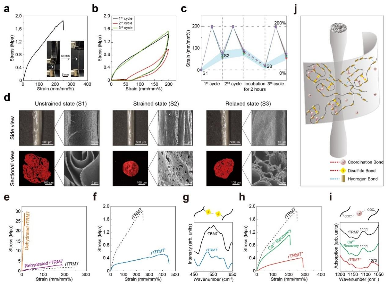 beat365在线体育app