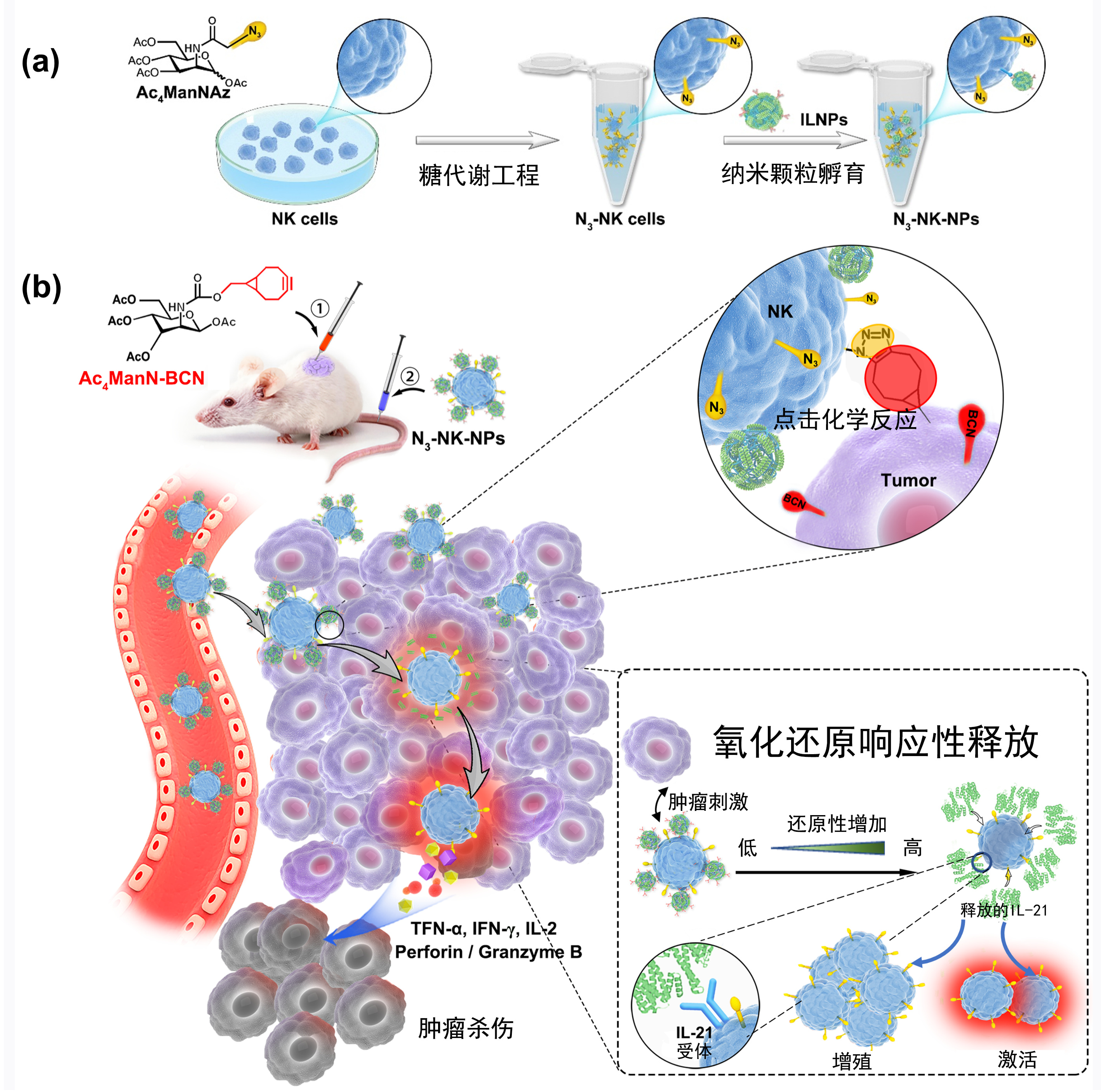 beat365在线体育app