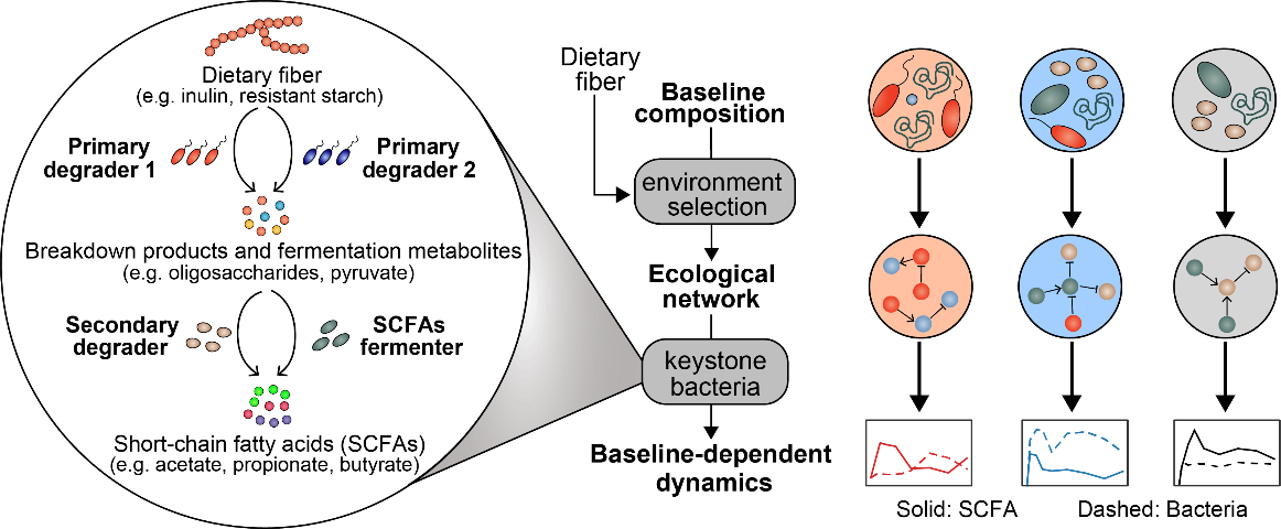 beat365在线体育app