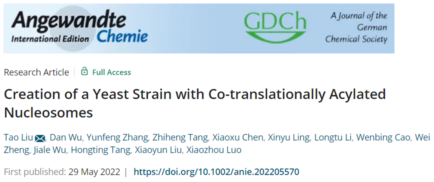 beat365在线体育app