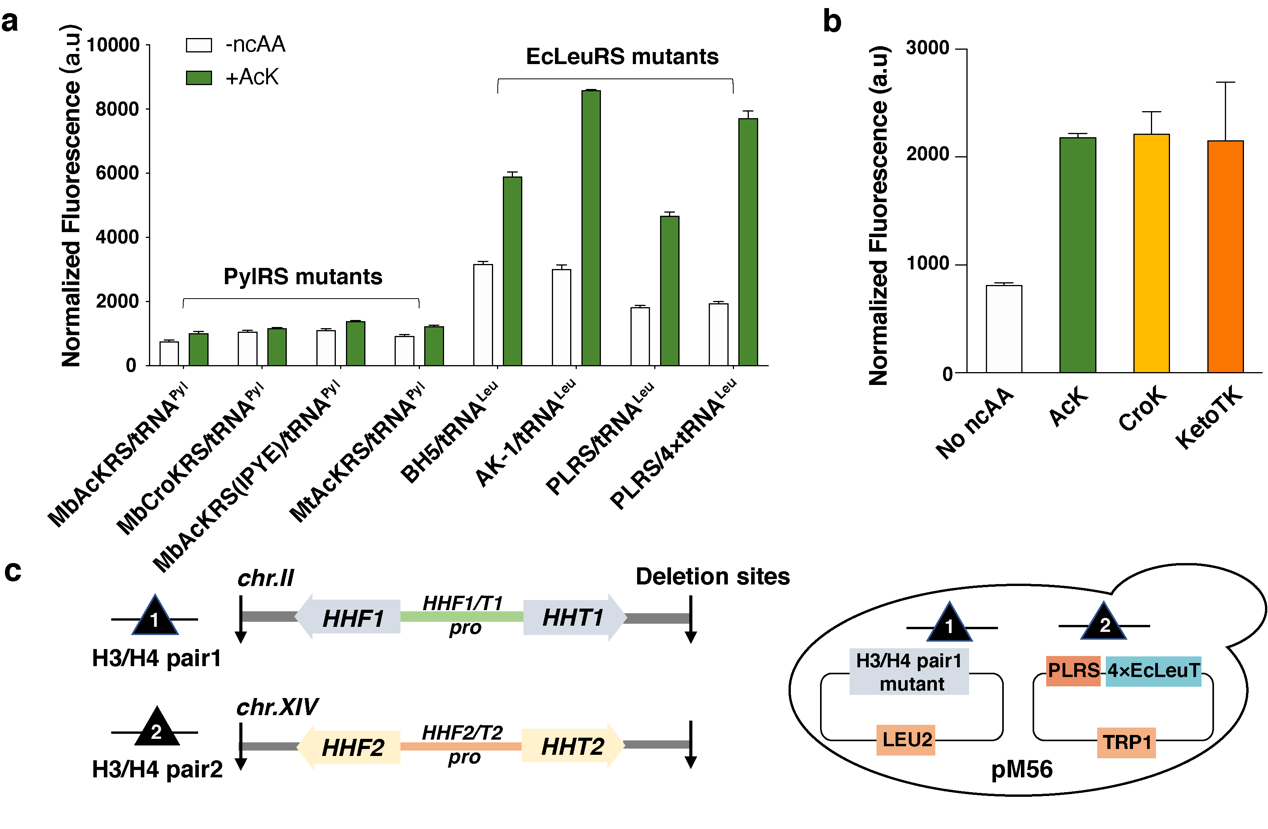 beat365在线体育app