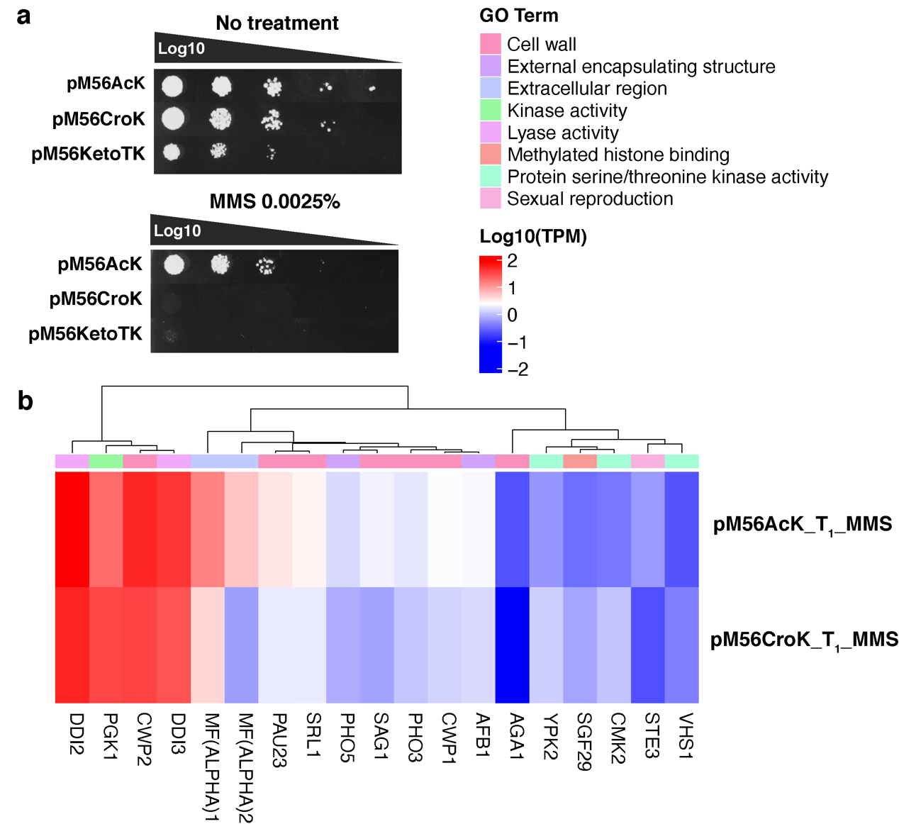 beat365在线体育app