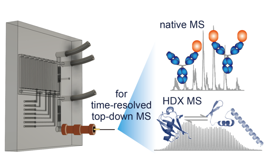 beat365在线体育app