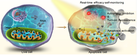 beat365在线体育app