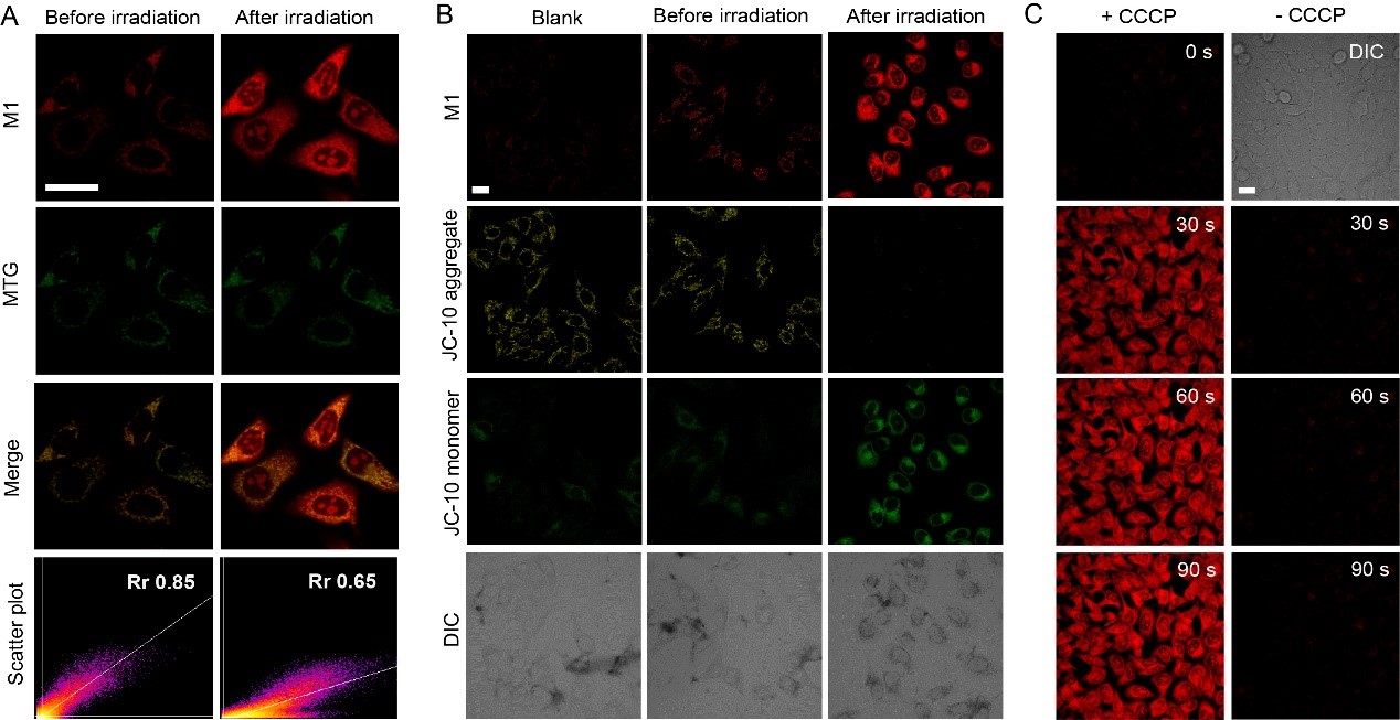 beat365在线体育app