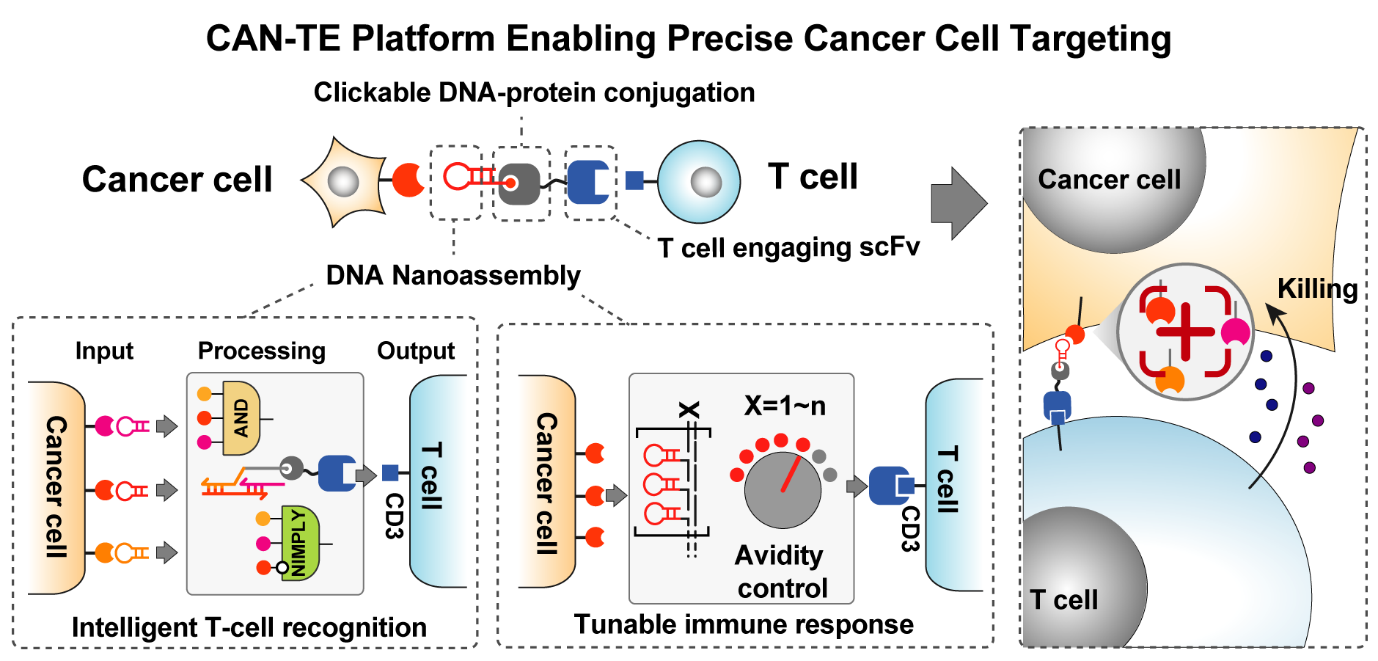 beat365在线体育app