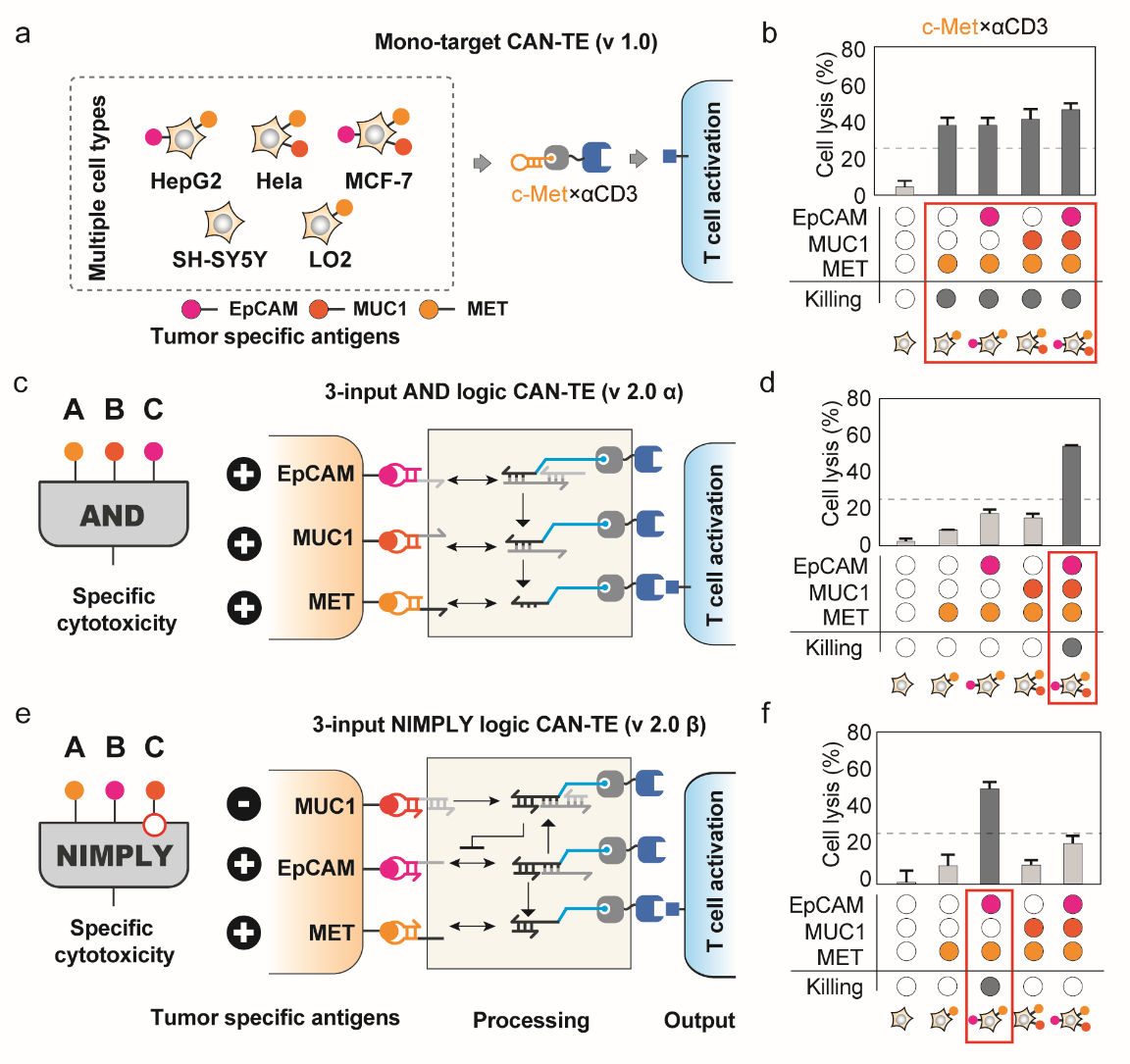 beat365在线体育app
