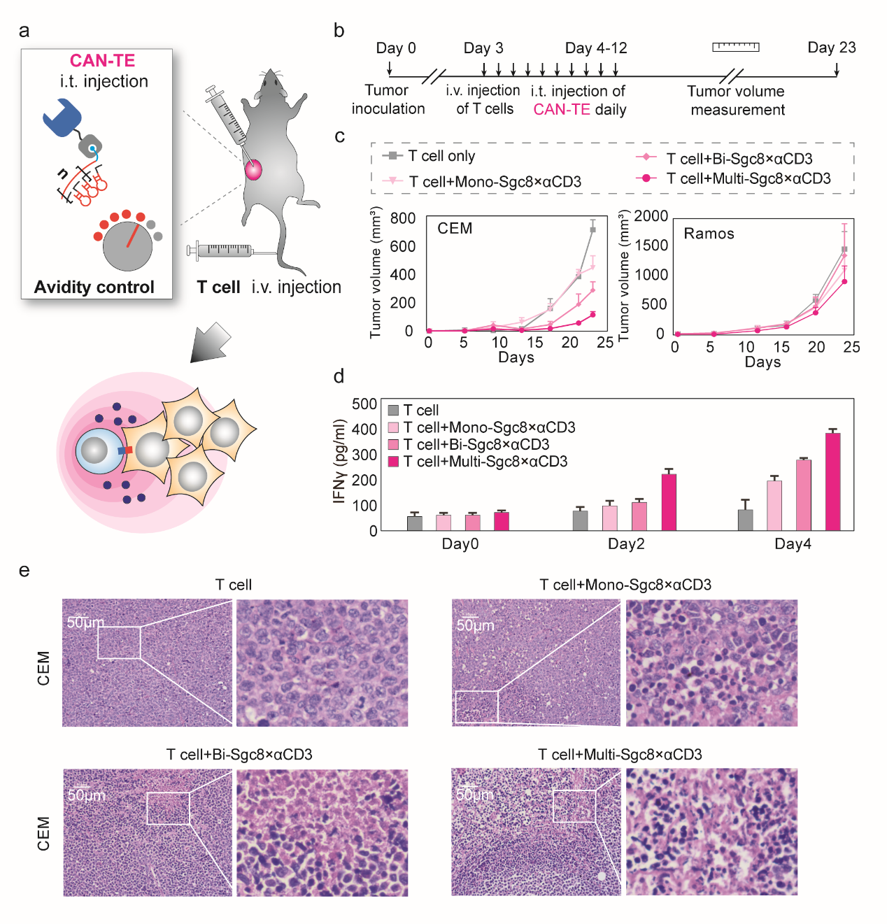beat365在线体育app