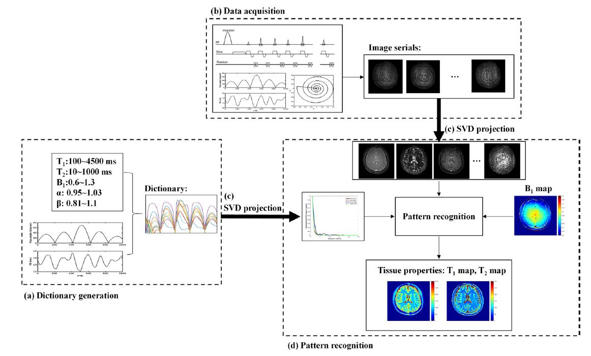 beat365在线体育app