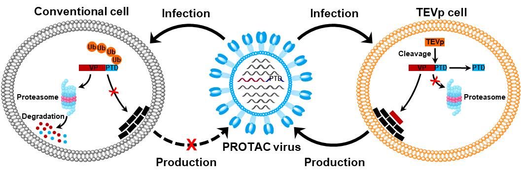 beat365在线体育app
