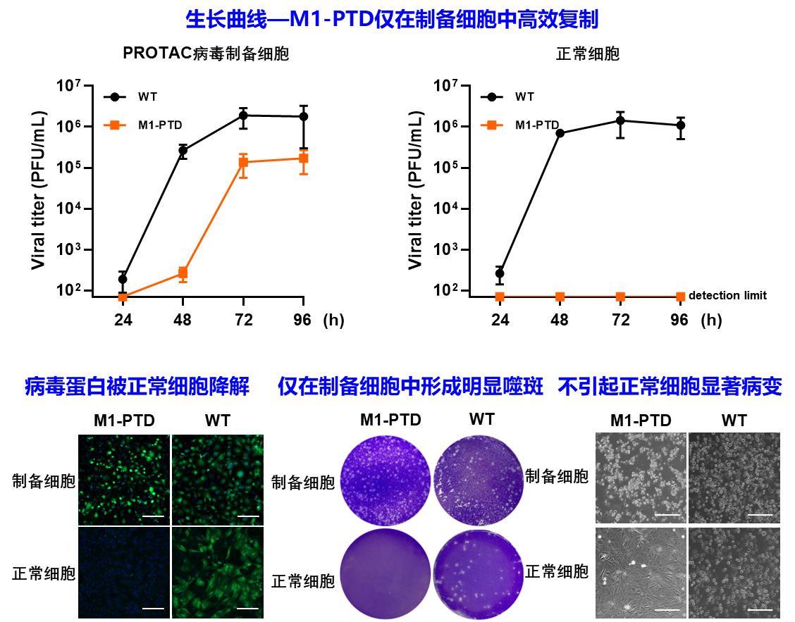 beat365在线体育app
