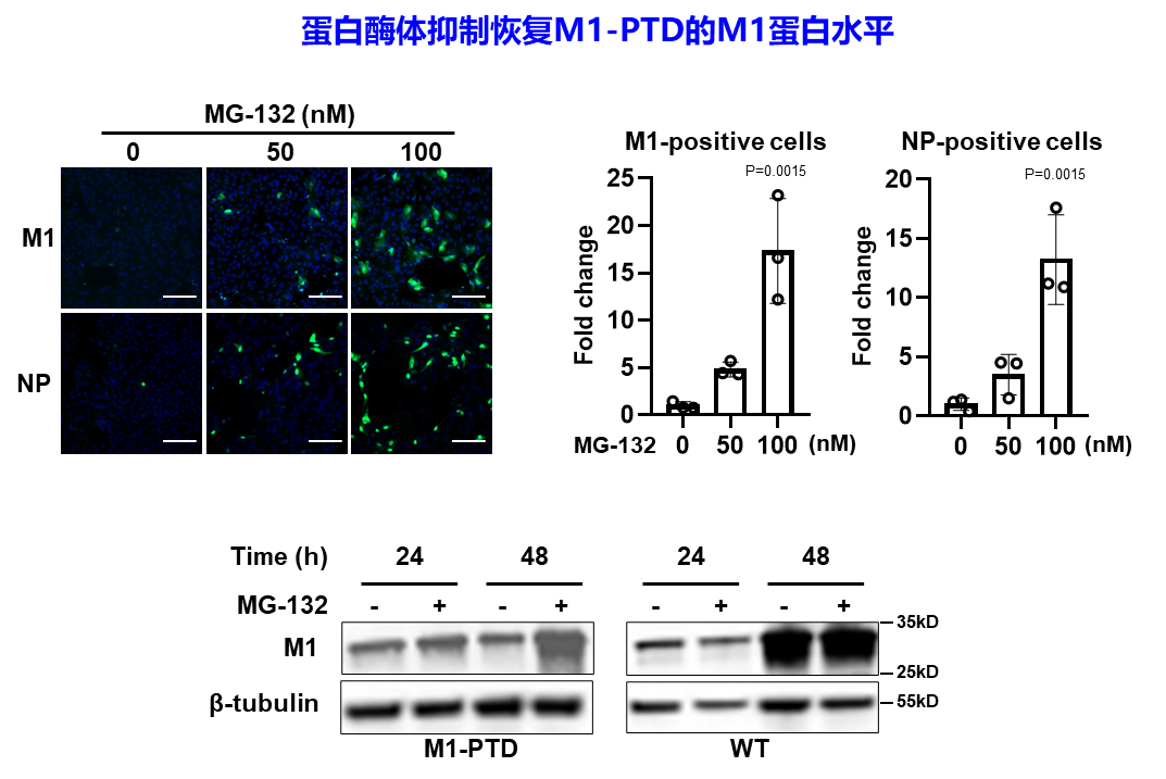 beat365在线体育app