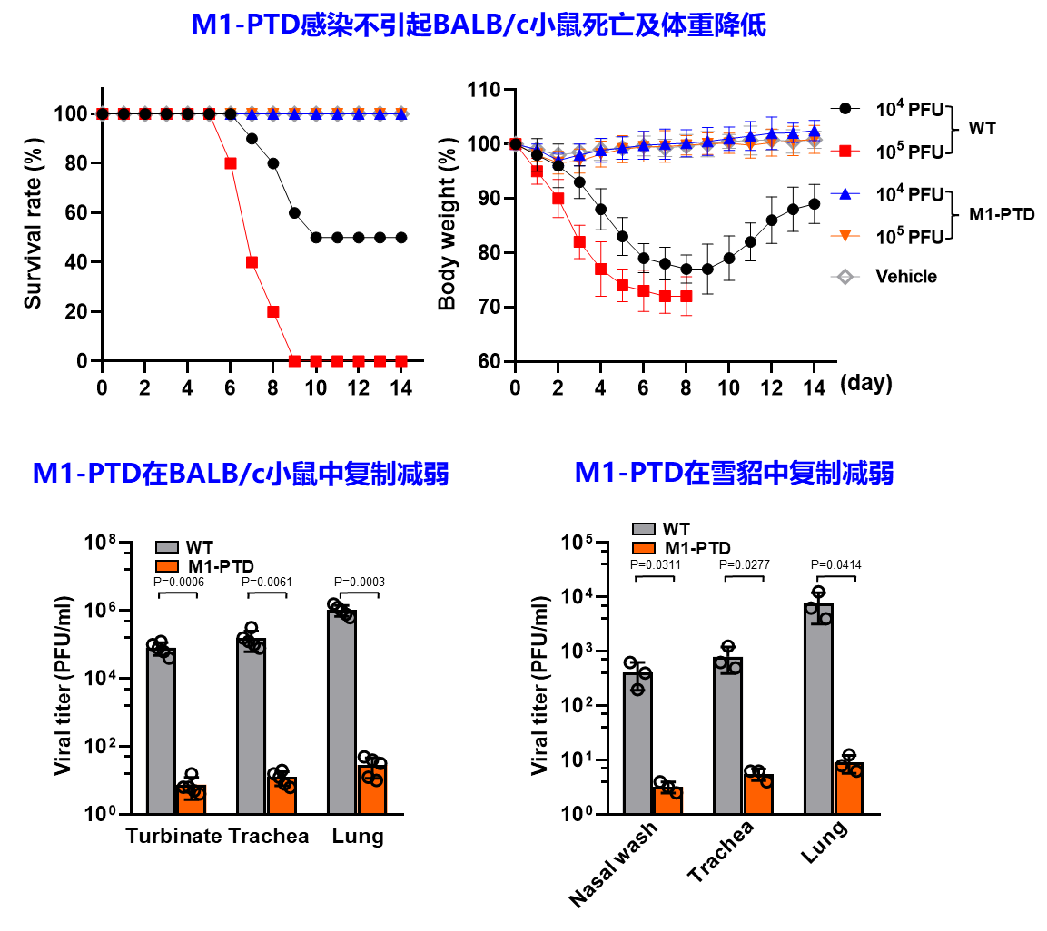 beat365在线体育app