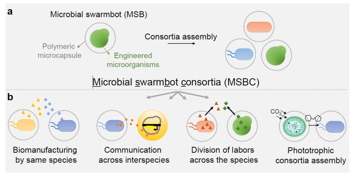 beat365在线体育app