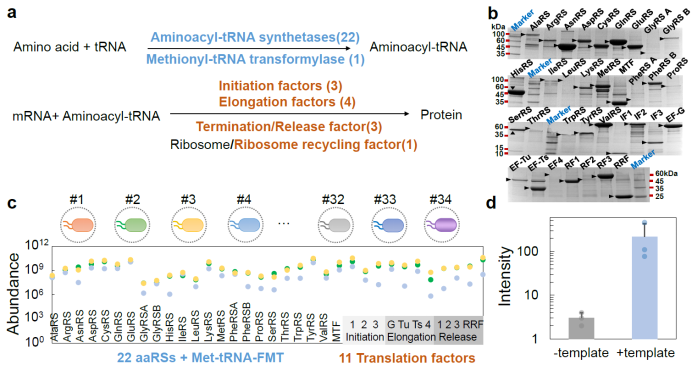 beat365在线体育app