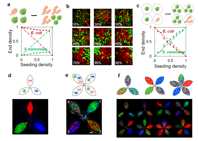 beat365在线体育app
