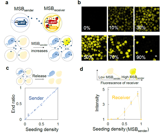 beat365在线体育app
