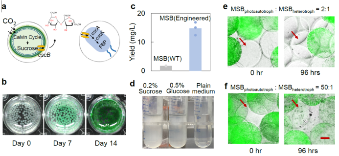 beat365在线体育app