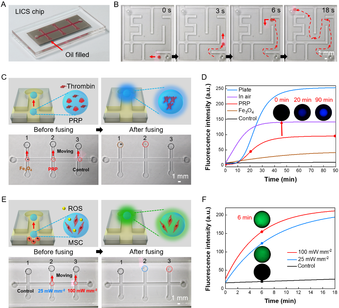 beat365在线体育app
