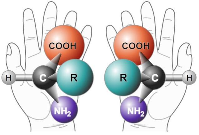 beat365在线体育app