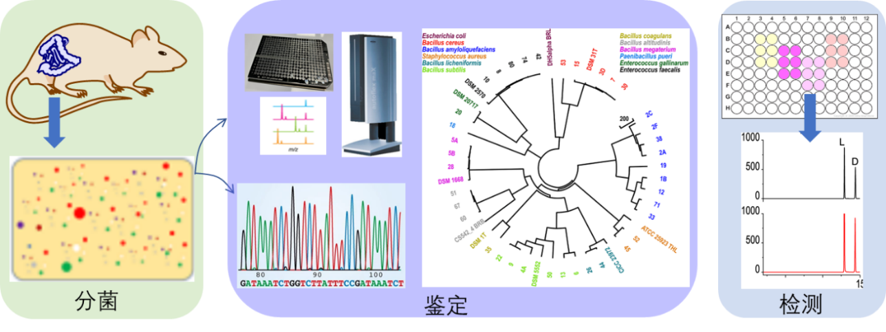 beat365在线体育app