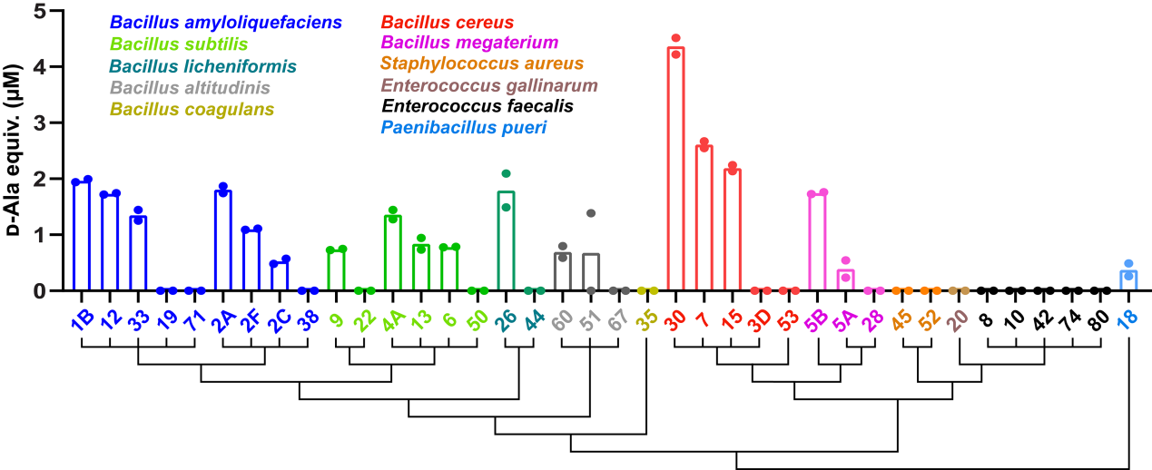 beat365在线体育app