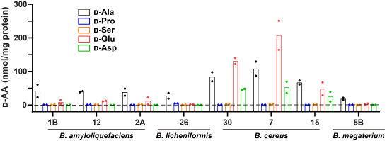 beat365在线体育app