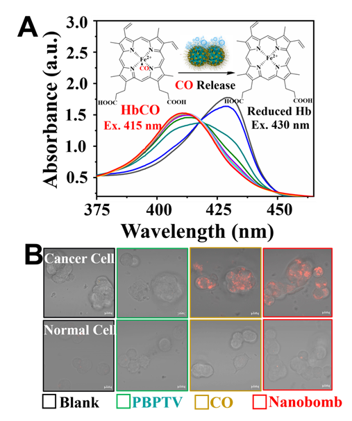 beat365在线体育app