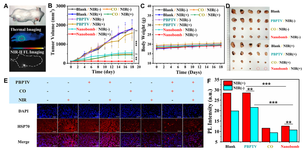 beat365在线体育app
