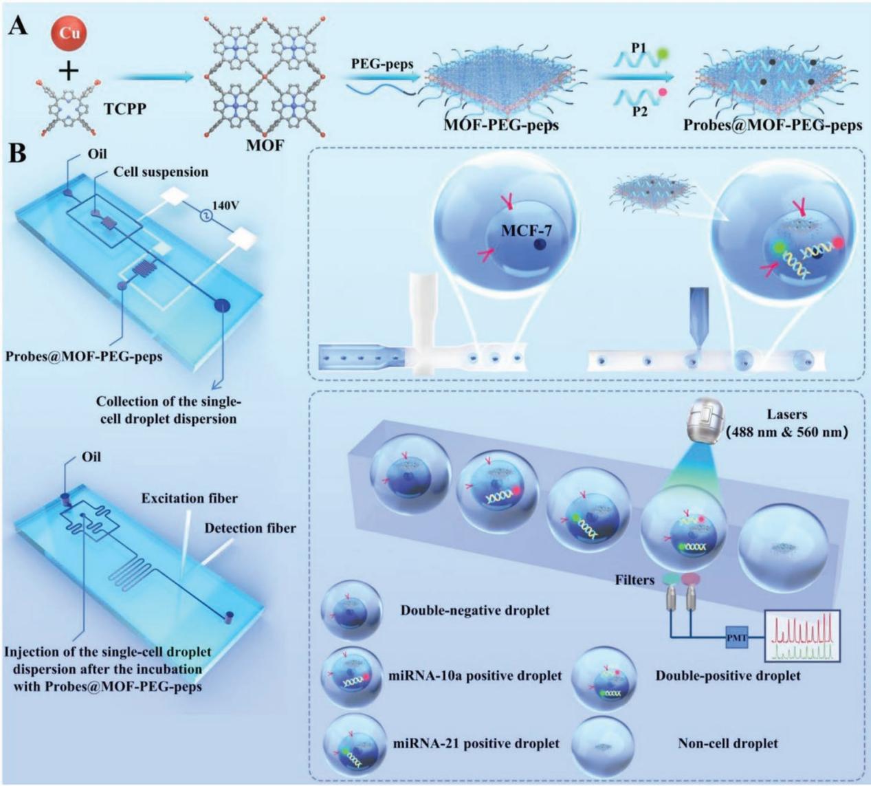 beat365在线体育app