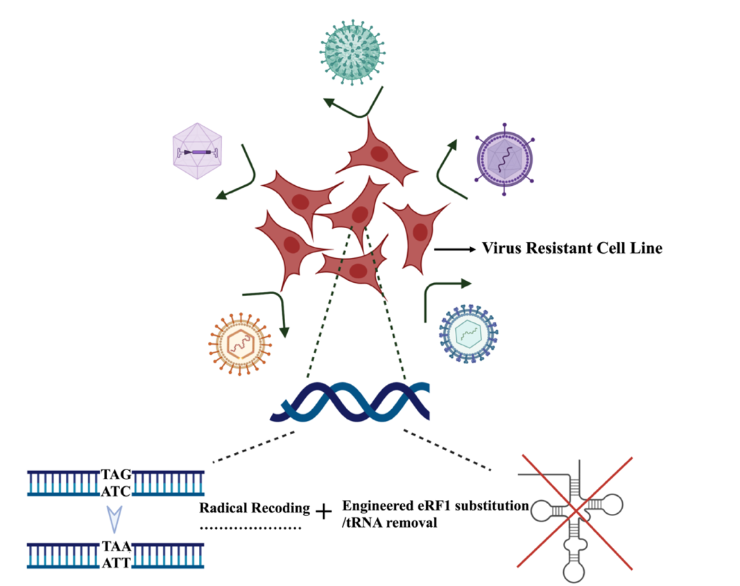beat365在线体育app