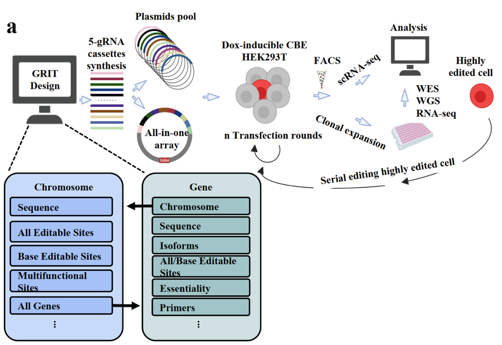 beat365在线体育app