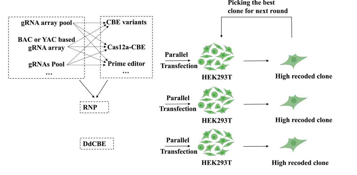 beat365在线体育app