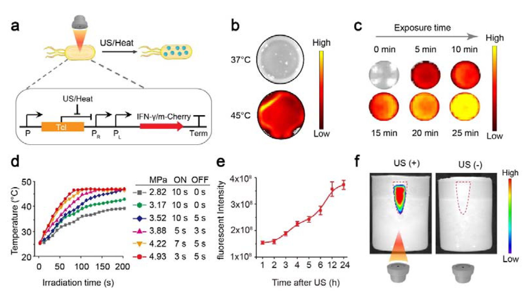 beat365在线体育app