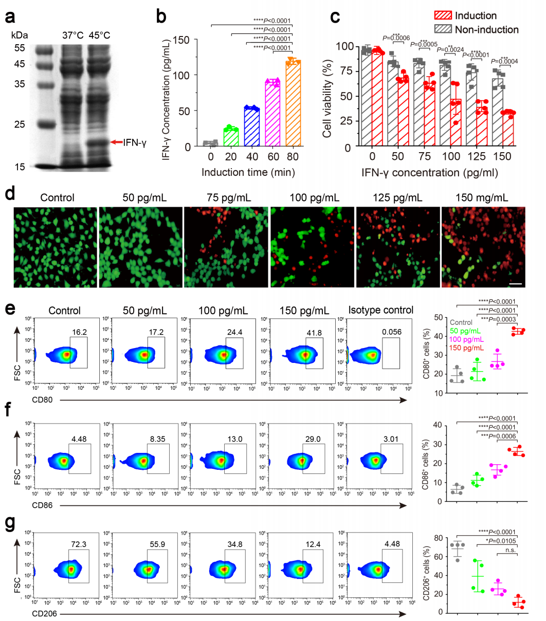 beat365在线体育app