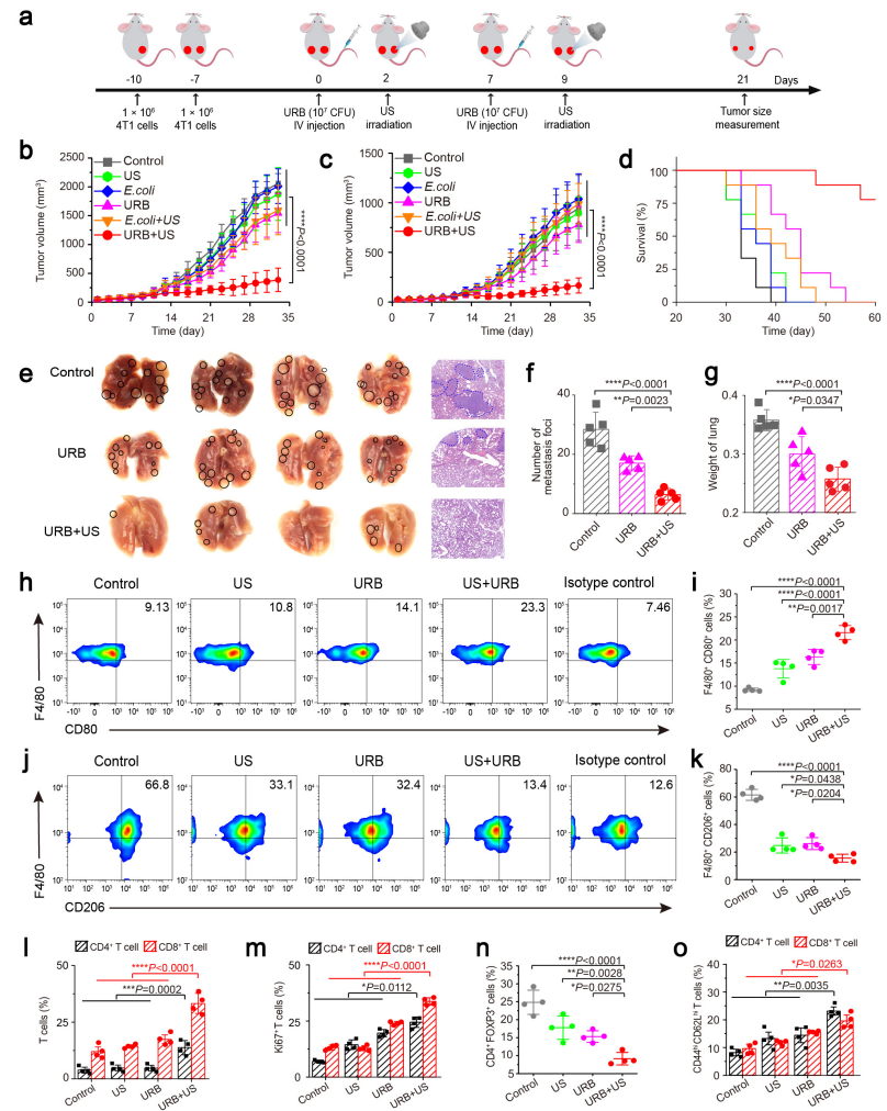 beat365在线体育app