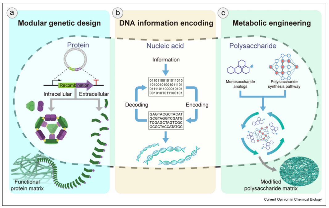 beat365在线体育app